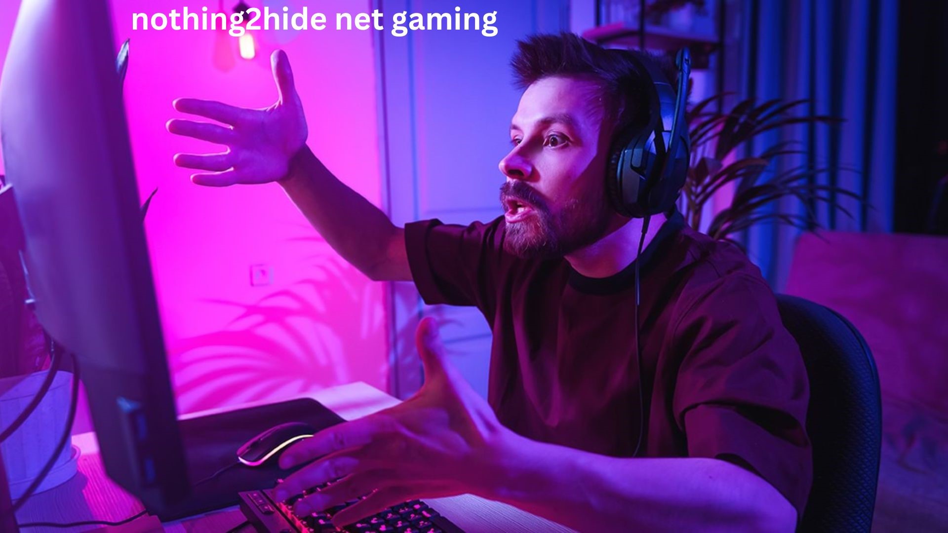 nothing2hide net gaming