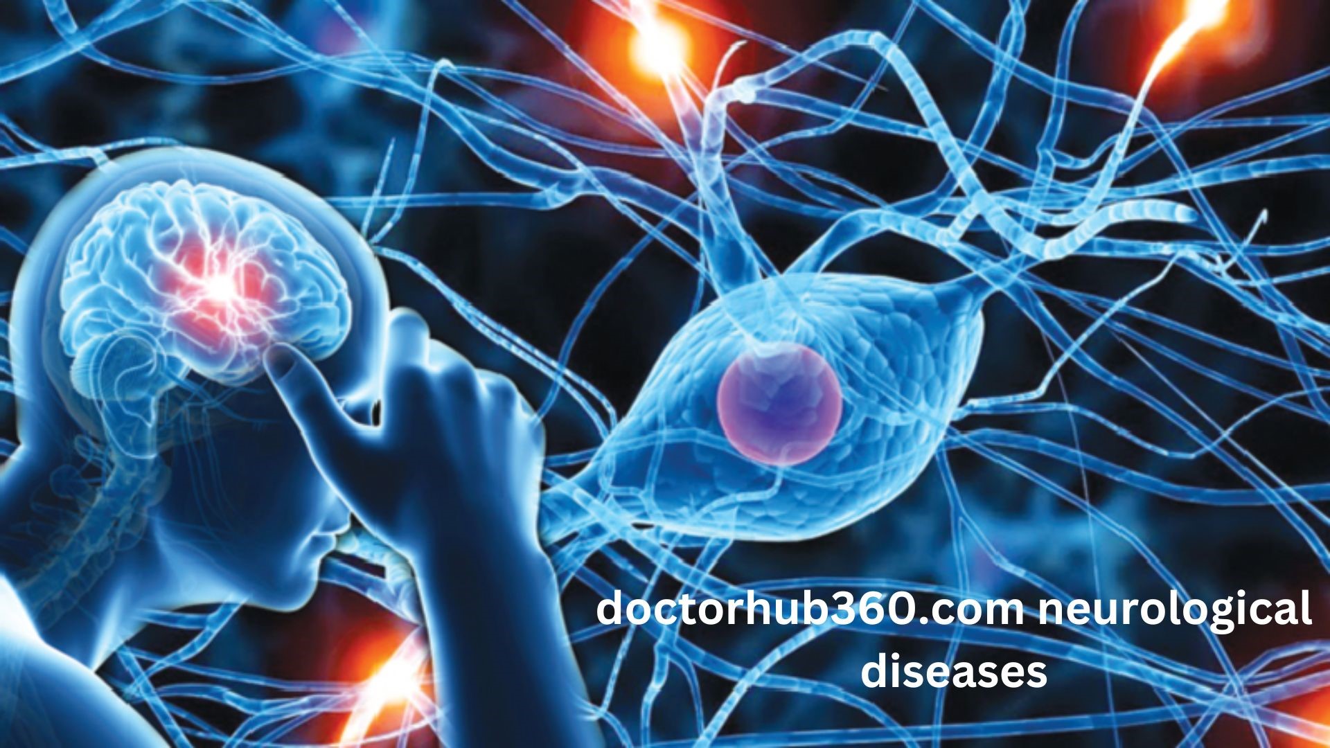 doctorhub360.com neurological diseases