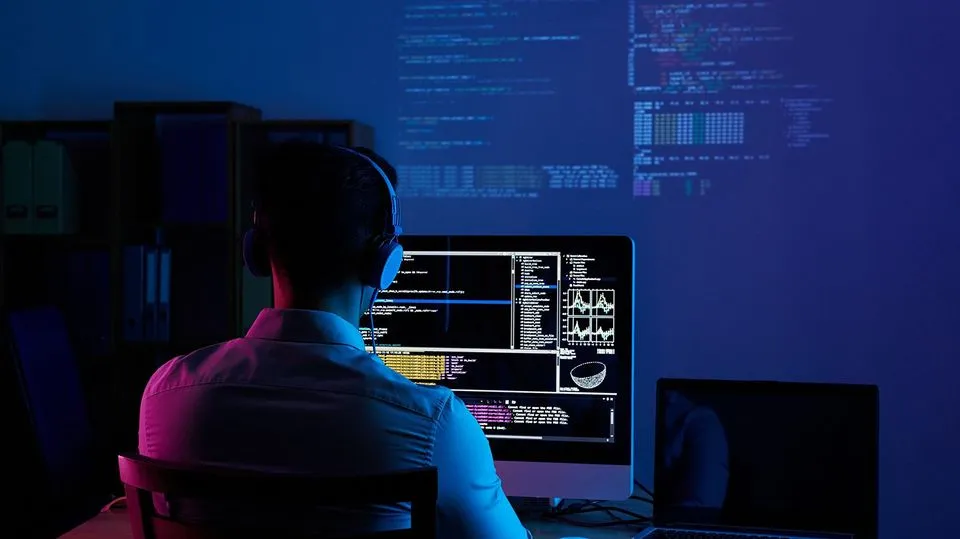 Which is the Best Choice for Your Web Development Project