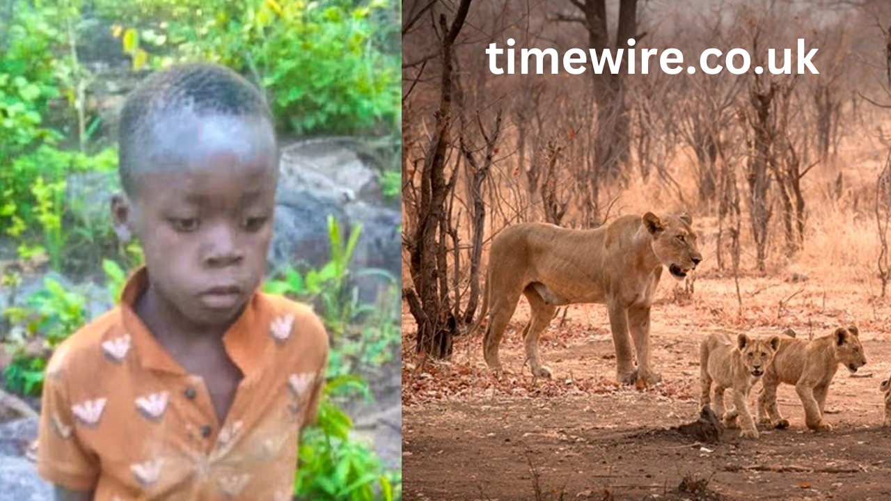 The Remarkable Boy rescued Zimbabwe national park